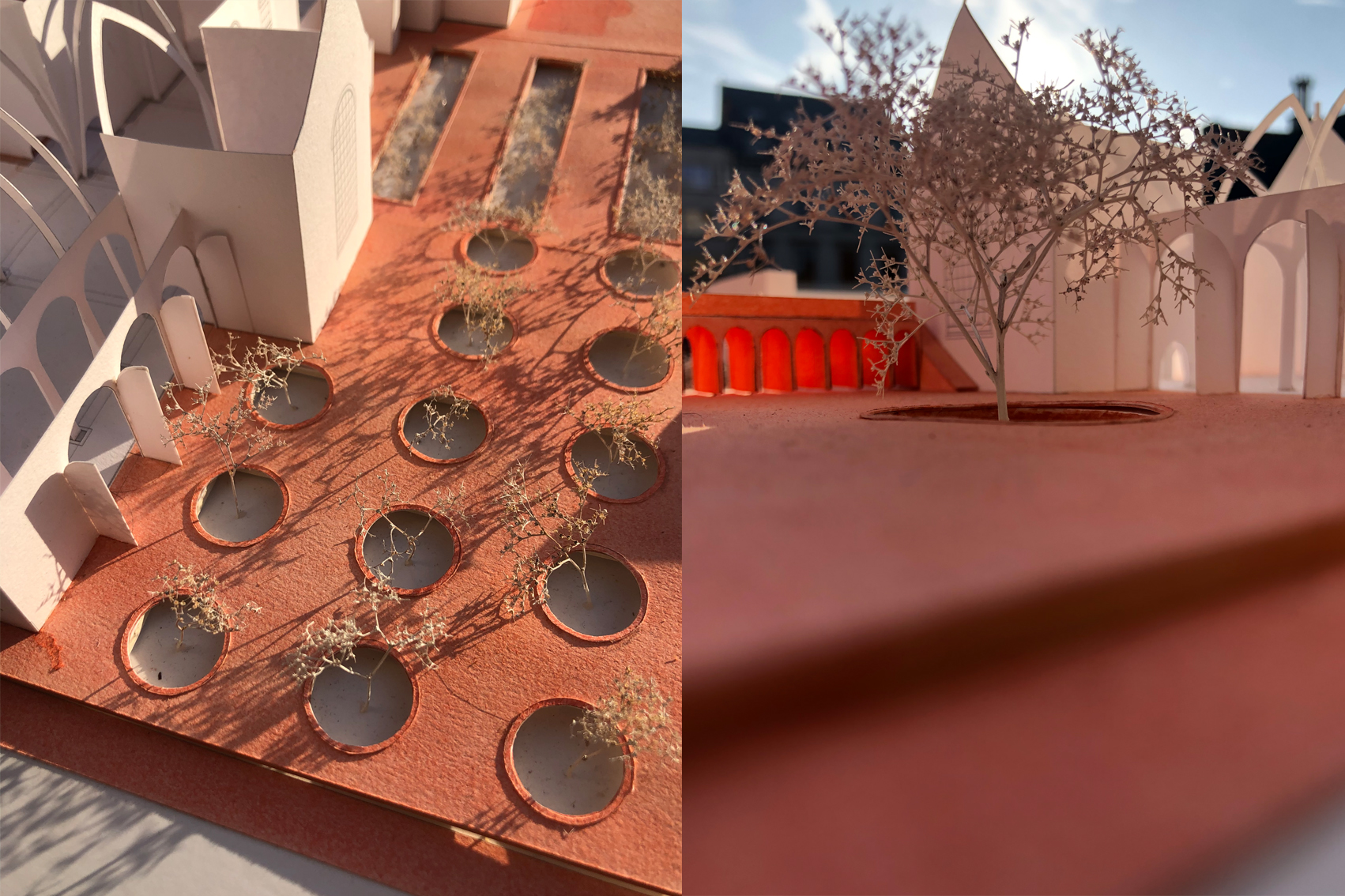 MAARTEN JORIS MOENS - Zwaneven