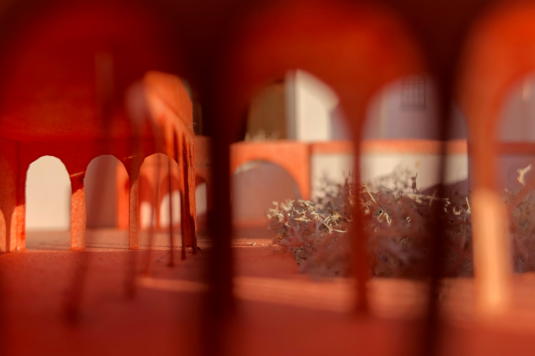 MAARTEN JORIS MOENS - Zwaneven