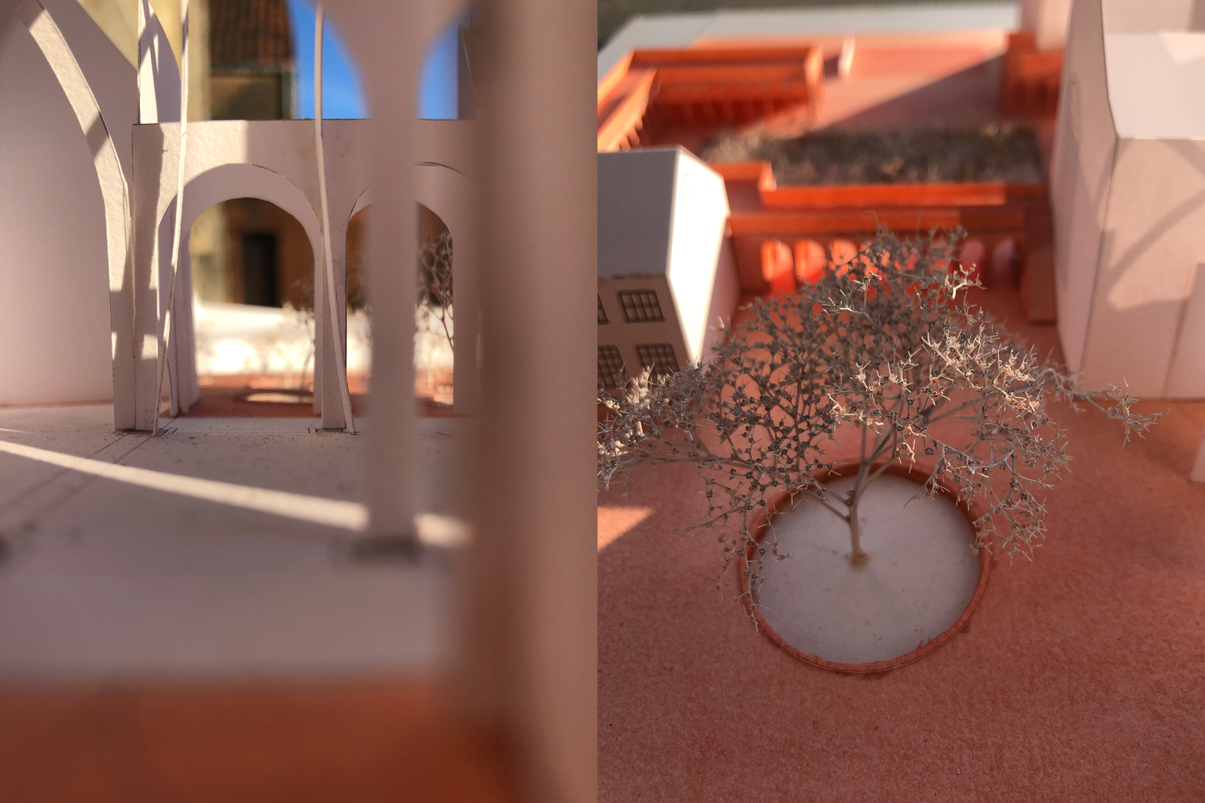 MAARTEN JORIS MOENS - Zwaneven