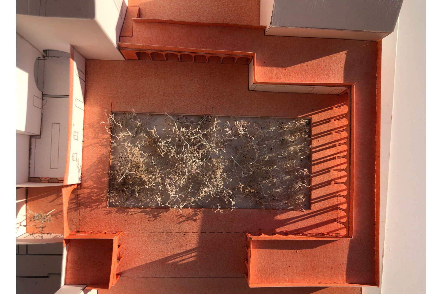 MAARTEN JORIS MOENS - Zwaneven